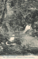 FRANCE - Retournemer - Passerelle à La Cascade Charlemagne - Carte Postale Ancienne - Gerardmer