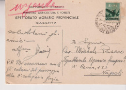 CASERTA  ISPETTORATO AGRARIO PROVINCIALE  1948  PER NAPOLI - Caserta