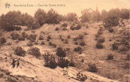 BELGIQUE - Knocke Le Zoute - Dans Les Dunes Boisées - Carte Postale Ancienne - Knokke