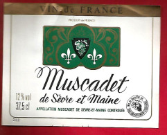 Etiquette De Vin Muscadet De Sèvre Et Maine 12 % Vol. - Tradition Et Patrimoine 62500 Saint Omer - Blancs