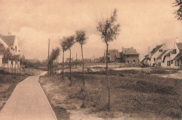 BELGIQUE - Le Zoute Pittoresque - Sentier Flamand - Carte Postale Ancienne - Knokke