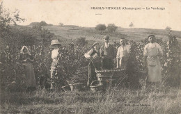 Charly * Viticole * La Vendange * Vin Viticole Vendanges Vendangeurs * Villageois - Andere & Zonder Classificatie