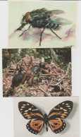ANIMAUX : Lot De 310 Cartes Postales D'animaux Divers : Oiseaux, Poissons, Insectes, Escargots, ...( Pas De Mammifères). - 100 - 499 Postkaarten