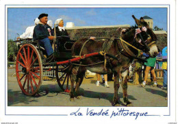 85 Vendée Pittoresque N°6 Folklore Vendéen Attelage D'âne VOIR Flamme Postée De NOIRMOUTIER En ILE En 1993 - Noirmoutier