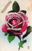 FÊTES - VŒUX - Bonne Année - Rose - Carte Postale Ancienne - Nouvel An