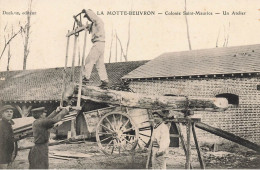 La Motte Beuvron , Lamotte Beuvron * Un Atelier De Scieurs De Long , Colonie St Maurice * Métier Bois Scierie Scieur - Lamotte Beuvron