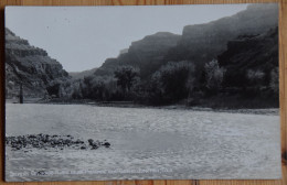 Silvery Colorado River Near Palisade And Grand Junction Colo. - Photo Post Card - (n°28247) - Sonstige & Ohne Zuordnung