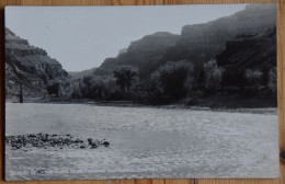 Silvery Colorado River Near Palisade And Grand Junction Colo. - Photo Post Card - (n°28247) - Andere & Zonder Classificatie