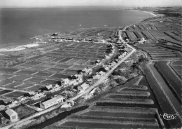 Ile D'oléron * Environs De Dolus * La Baudissière , Vue Aérienne - Ile D'Oléron