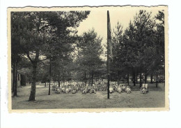 HEIDE-KALMTHOUT   ZON EN HEI  Het Rust-uurtje - Kalmthout