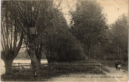 CPA VERT-le-PETIT Avenue Conduisant Au Lavoir (1354250) - Vert-le-Petit