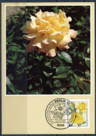 Allemagne   Y&T   ....   ---   Mi 681   ---    Rosen Teehybride   -  1982 - Cartoline Maximum