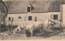 En Beauce N°276 * Rentrée à La Ferme * Boeufs Vaches Bovins Abreuvoir * Agricole Agriculture - Autres & Non Classés