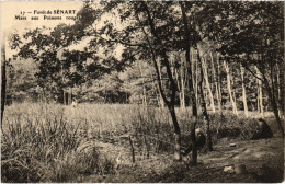 CPA Foret De Senart - Mare Aux Poissons Rouges (1354906) - Sénart