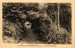 CPA BRIIS-sous-FORGES Le Petit Ruisseau (1355368) - Briis-sous-Forges