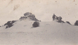 Belgique (anvers)-  In De Calmphoutsche Duinen - Dans Les Dunes De Calmpthout - Kalmthout