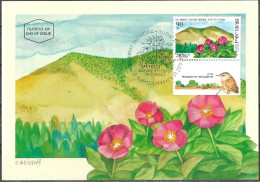 Israel 1990 Maximum Card Mount Meron Nature Reserve In Israel Flowers Bird [ILT1120] - Cartes-maximum