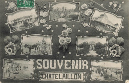 Châtelaillon * Souvenir De La Commune * Cpa 7 Vues - Châtelaillon-Plage