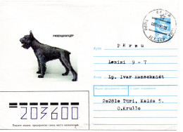 60455 - Russland / UdSSR - 1990 - 5K GAUmschlag "Riesenschnauzer" TYURI -> PYARNU - Cani