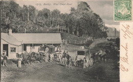 NOUVELLE ZELANDE Bealey  West Coast Road - Nouvelle-Zélande