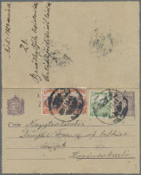 GA Hungary: 1920, Harvester/Magyar Posta 10f. Rose Horizontal Pair (slight Wrinklin - Debreczen