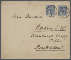 Brf. Deutsche Kolonien - Kamerun-Vorläufer: 1892, Krone / Adler, 20 Pfg. (mittel-)bla - Kamerun