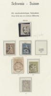 **/*/o Nachlässe: SCHWEIZ, 1854-1994, Prachtsammlung In Zwei Vordruckalben Ab Den Strub - Lots & Kiloware (mixtures) - Min. 1000 Stamps