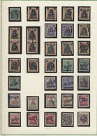 **/*/(*)/o Liquidationsposten: Danzig - 1920-1924, Spezialsammlung In Allen Erhaltungsforme - Boites A Timbres