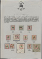 O/Briefstück Helgoland - Marken Und Briefe: 1876, Farbstudie Von 11 Gestempelten Werten Der M - Héligoland