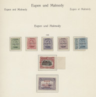 ** Deutsche Abstimmungsgebiete: 1920-1921, Inhaltsreiche Postfrische Sammlung Der A - Otros & Sin Clasificación