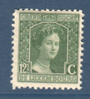 Luxembourg, Yv 96, Mi 93, **, - 1914-24 Marie-Adélaida