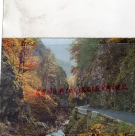 05- BRIANCON - ROUTE DES ALPES  EN AUTOMNE DANS LES GORGES - Briancon