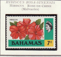 BAHAMAS - Fleurs, Flowers, Hibiscus Rose-de-Chine, Flamboyant, Técoma Dresse - 1971 - MNH - 1963-1973 Autonomie Interne