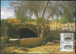 Israel 2001 Maximum Card Ilaniyya Segera Historic Sites In Israel [ILT1123] - Maximumkarten