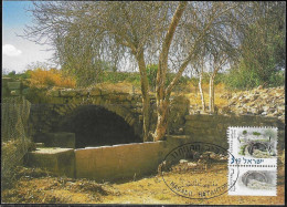 Israel 2001 Maximum Card Ilaniyya Segera Historic Sites In Israel [ILT1123] - Archéologie