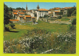 43 MONTFAUCON DU VELAY N°6500 Vue Générale VOIR ZOOM Linge étendu VOIR DOS Et Flamme En 1972 - Montfaucon En Velay