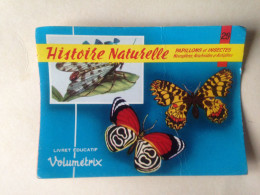 HISTOIRE NATURELLE Papillon & Insecte Névroptère Arachnide Archiptère Livret Educatif VOLUMETRIX Publicité - Papillons