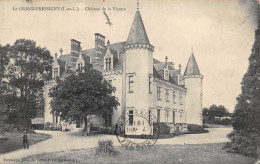 23-3995 : LE GRAND-PRESSIGNY. CHATEAU DE LA VIENNE - Le Grand-Pressigny