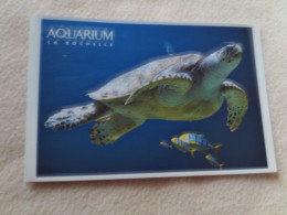 BELLE CARTE..."TORTUE IMBRIQUEE" ...AQUARIUM LA ROCHELLE..FLAMME LA COUARDE SUR MER - Tartarughe