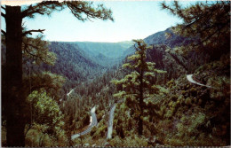 31-11-2023 (5 U 44) USA - Oak Creek Canyon (2 Postcards) - Other & Unclassified