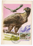 Carte Maximum Andorre 1971  - Protection De La Nature Aigle Royal Des Pyrénées YT 219 - (Etat Médiocre) - Maximum Cards