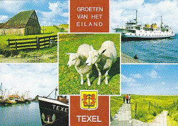 AK 175291 NETHERLANDS - Texel - Texel