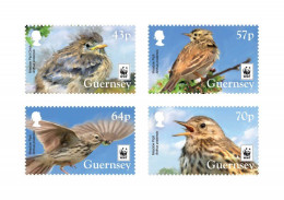 Guernsey 2017 WWF Rare Birds Anthus Pratensis Set Of 4 Stamps Mint - Moineaux