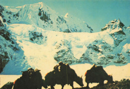 CPSM Bhoutan-Bhutan-Yalila Range-RARE      L2398 - Bhoutan