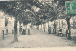 86 // LUSSAC LES CHAEAUX   Allée Des Tilleuls Et Champ De Foire  6 - Lussac Les Chateaux