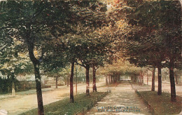 ROYAUME UNI  - Folkestone - Castle Hill Avenue - Colorisé - Carte Postale Ancienne - Andere & Zonder Classificatie