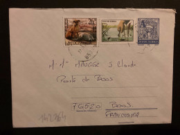 LETTRE EP A Pour La FRANCE TP CICENJE DUNAVA + CHIENS 26,20 OBL.27 06 05 - Briefe U. Dokumente