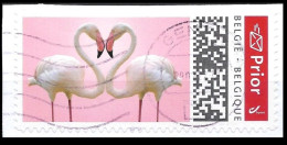 DUOSTAMP° / MYSTAMP°  - Happy Prior 2020 - Flamants Roses / Flamingovogels / Rosa Flamingos - SPECIAL EDITION - Fenicotteri