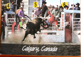 CALGARY  STAMPEDE RODEO CANADA GRAND FORMAT - Calgary