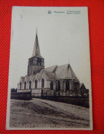 MASSEMEN  -  Sint Martinus Kerk  -  Eglise Saint Martin - Wetteren